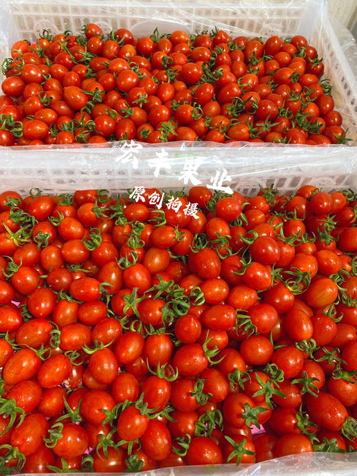 宏丰精选，红宝石千禧，新鲜到货不影响口感，活动价19.8元一斤 商品图3