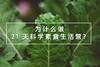 为什么做 21 天科学素食生活营？ 商品缩略图0