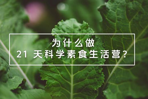 为什么做 21 天科学素食生活营？ 商品图0