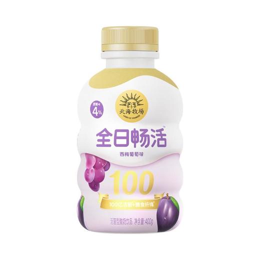 北海牧场全日畅活酸奶西梅味 400g/瓶 商品图0