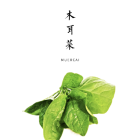 木耳菜 300g
