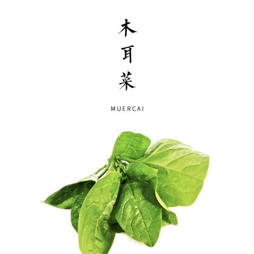 木耳菜 300g 商品图0