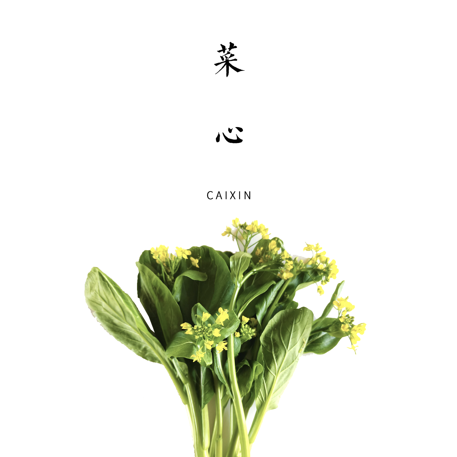 菜心  300g