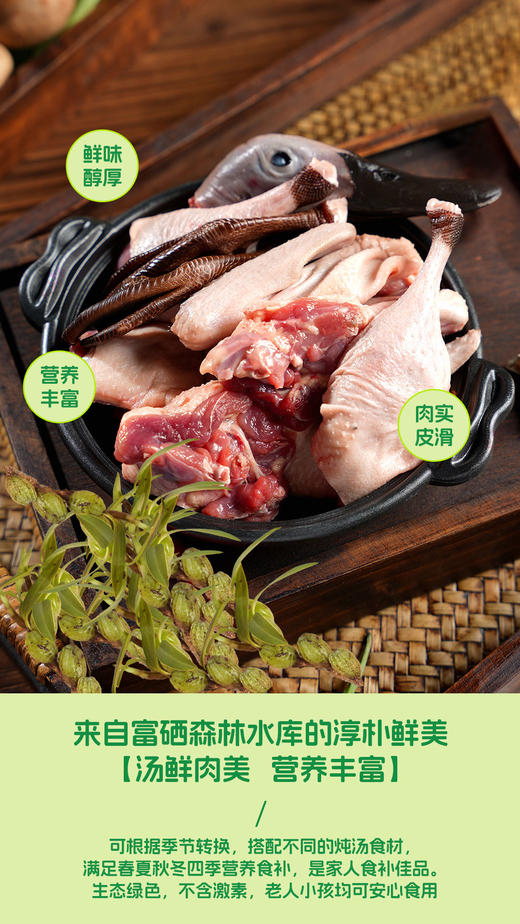 汤丞御品540天白鹜鸭 商品图6