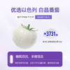 美白丸 （请单独付款） 商品缩略图5