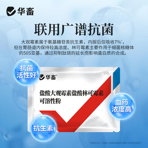 华畜盐酸大观霉素林可霉素可溶性粉兽用鸡用支原体猪肠炎兽药 商品图2