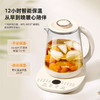 HYUNDAI电热水壶(养生壶)DC5B07 商品缩略图2