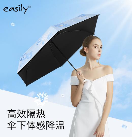 easily五折黑胶-雏菊夏日悠悠 商品图4
