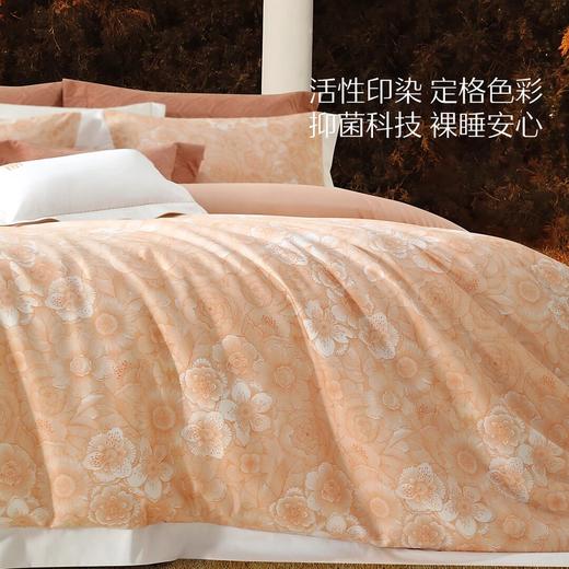 水星家纺南法系列60支长绒棉抑菌四件套透气亲肤套件床上用品严选 商品图4