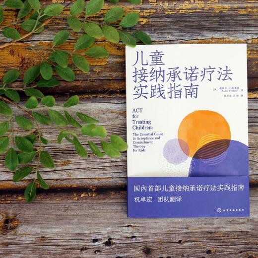 儿童接纳承诺疗法实践指南 商品图7