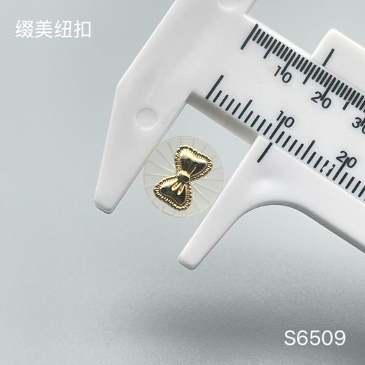 S6509(整包购买) 商品图2