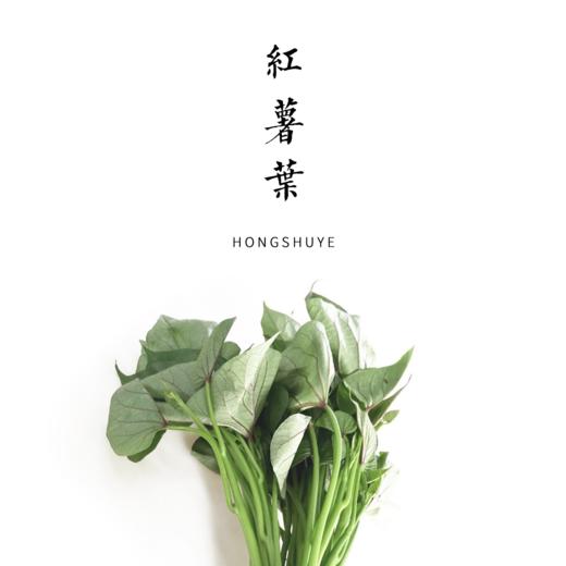 红薯叶  300g（露天种植有虫眼） 商品图0