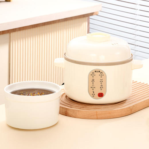 栢士德微电脑隔水电炖锅BSD-WG108【LXGWZQ1.0】 商品图5