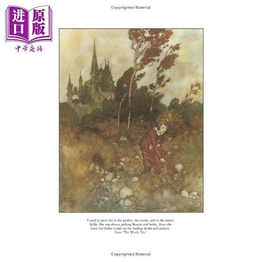 【中商原版】Dulacs Fairy Tale Illustrations in Full Color 进口艺术 杜拉克的童话全彩插图 商品图1
