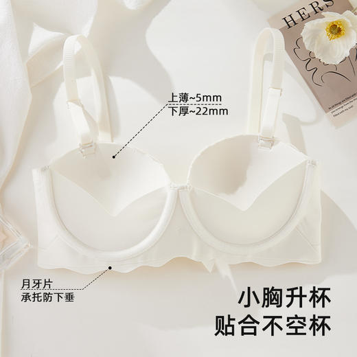ALDOLA/雅黛俪圆圆杯内衣女性感蕾丝文胸聚拢显大防下垂胸罩新品 商品图3
