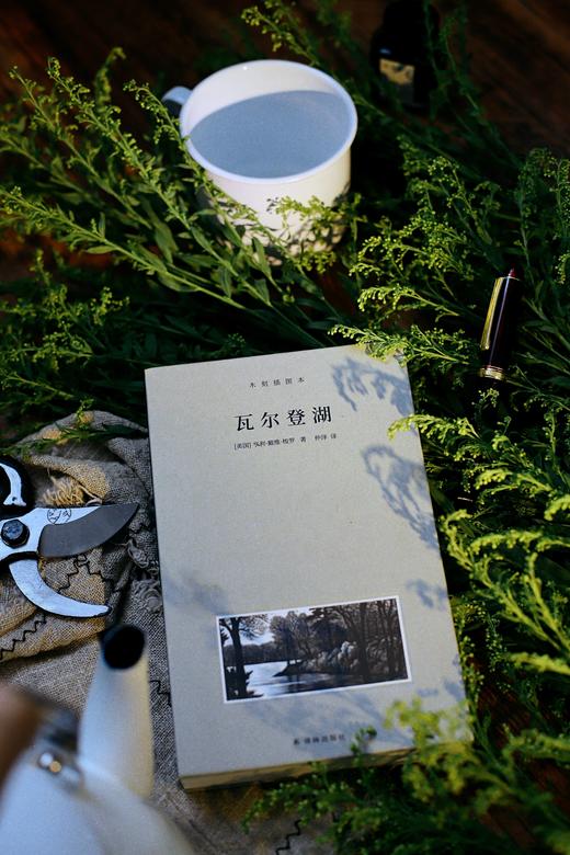 《梭罗文集：瓦尔登湖+四季之歌+夜色和月光》（全3册） 商品图3