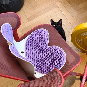 [屁侠推荐]护腰矫姿坐垫 顶博士护腰坐垫TPE升级款 人体工学设计 防驼矫姿 保护腰椎 背/腰/臀三位一体支撑 全垫可水洗