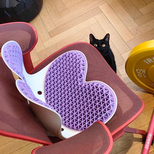 [屁侠推荐]护腰矫姿坐垫 顶博士护腰坐垫TPE升级款 人体工学设计 防驼矫姿 保护腰椎 背/腰/臀三位一体支撑 全垫可水洗 商品图0