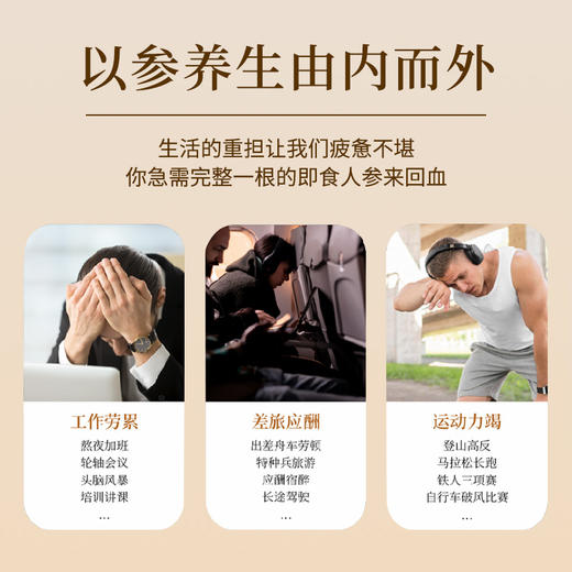 即食人参礼盒装 商品图4