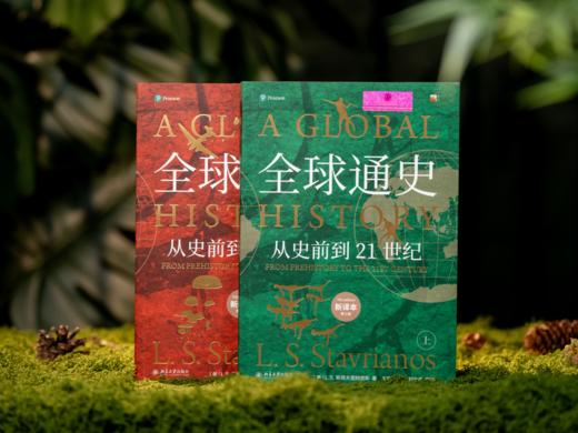 全球通史：从史前到21世纪（套装2册）北京大学出版社出版，全球超2000万读者都在读的经典巨著，全球史开创者、世界史学泰斗集大成之作，全新译本、重磅升级！ 商品图0
