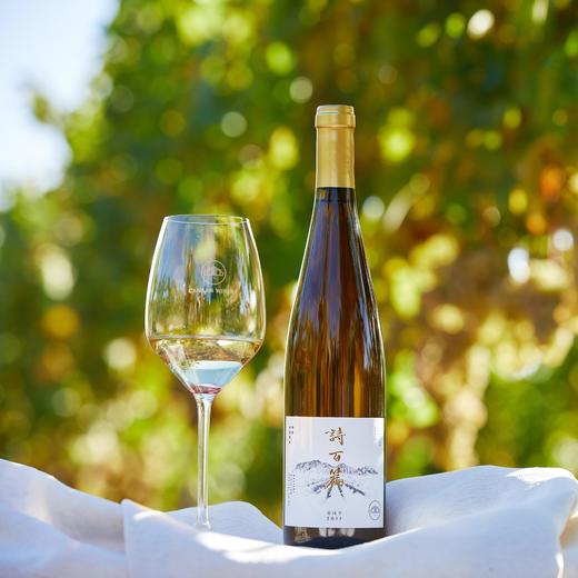 【诗百篇】中国怀来迦南酒业 特选雷司令干白葡萄酒 比德国还典型的打火石、煤油香气，还点缀着小茉莉花和青涩可人的柠檬和西柚皮香 750ml 年份随机发货 商品图3