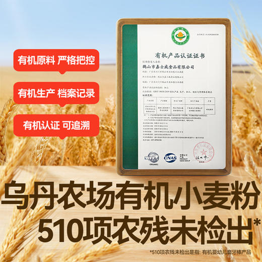 【零食】有机婴幼儿营养磨牙棒 64g，适龄6月+ 商品图1