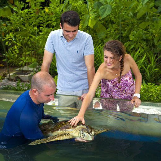 3天2晚【马来西亚加雅岛度假村】春节可用！全球奢华精品酒店！含吉隆坡接/送机、往返快艇接送、每日三餐、丛林徒步、浮潜体验等，入住奢华面海别墅~ 商品图5