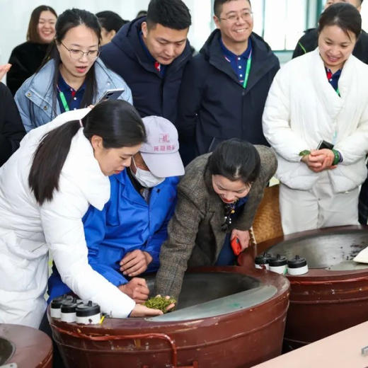 龙冠·龙井茶文化体验之旅 商品图2