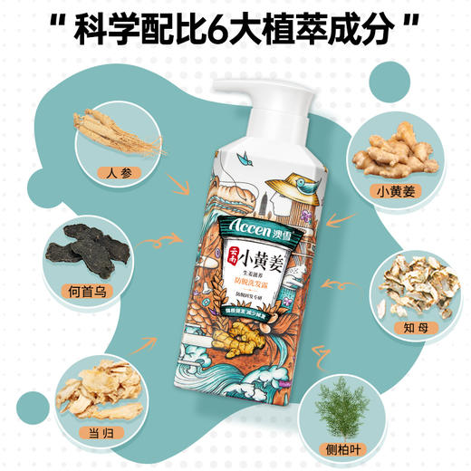澳雪小黄姜洗发水500ml*2（防脱固发+控油去屑） 商品图3