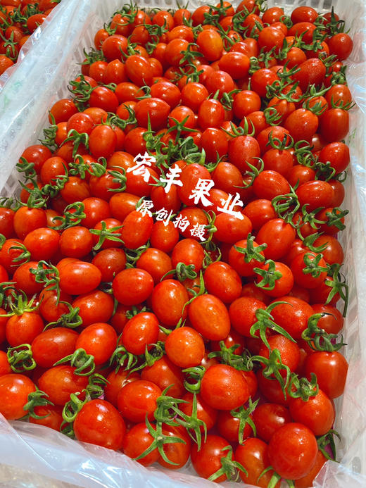 宏丰精选，红宝石千禧，新鲜到货不影响口感，活动价19.8元一斤 商品图6