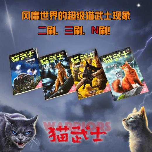 【猫武士新书】猫武士八部曲5风霜蔽目 商品图1