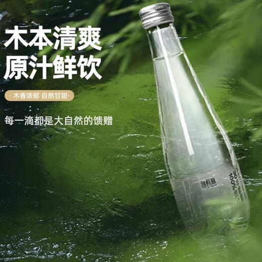 【BF】园有风桦树汁310ml*10瓶 礼盒装 商品图3