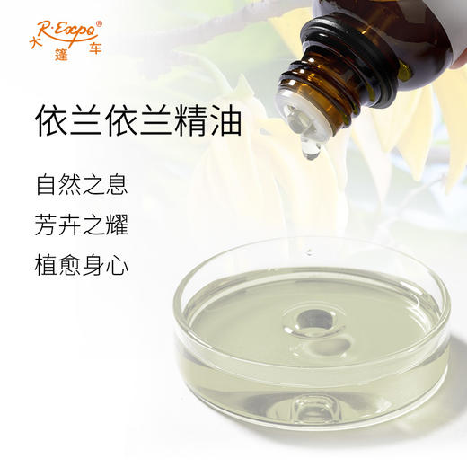 依兰依兰精油 马达加斯加单方精油原料批发芳疗护理调香香薰 商品图1