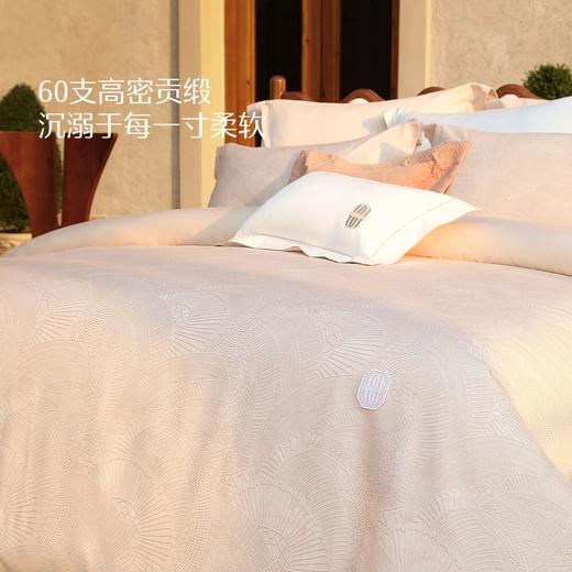 （品牌直发）水星家纺南法系列60支新疆长绒棉四件套高密贡缎抑菌轻奢套件严选 商品图2