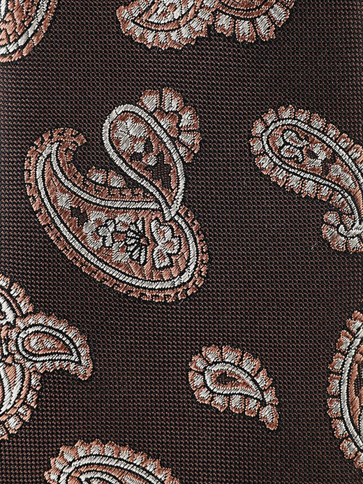 callisto咖色桑蚕丝领带 商品图3