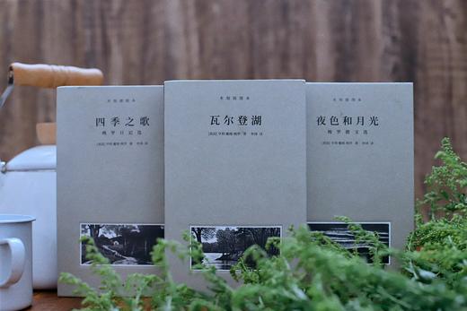 《梭罗文集：瓦尔登湖+四季之歌+夜色和月光》（全3册） 商品图1