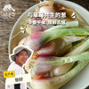 生态葱头 |合作生产 * Ecological shallots | Coproduction 商品缩略图0