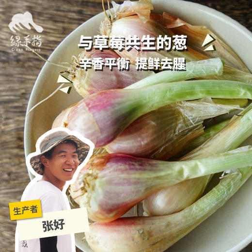 生态葱头 |合作生产 * Ecological shallots | Coproduction 商品图0
