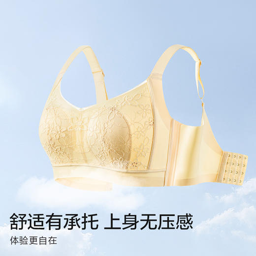 轻汐蕾丝大胸显小文胸 商品图3