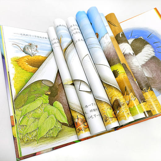 小树苗译丛 獾的美餐  图画故事 儿童早教 学会珍惜故事绘本 亲子共读精装本 3-6岁儿童精装图画书 硬封面 江苏凤凰少年儿童出版社 商品图3