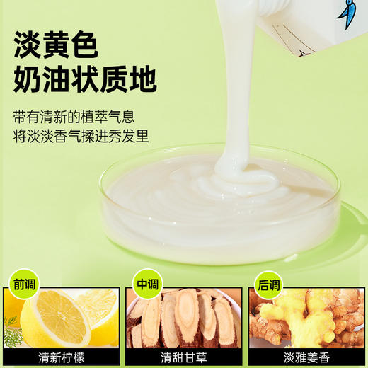 澳雪小黄姜洗发水500ml*2（防脱固发+控油去屑） 商品图7