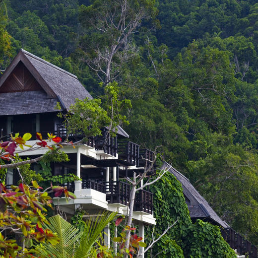 3天2晚【马来西亚加雅岛度假村】春节可用！全球奢华精品酒店！含吉隆坡接/送机、往返快艇接送、每日三餐、丛林徒步、浮潜体验等，入住奢华面海别墅~ 商品图12