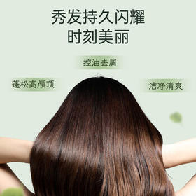 舒蕾茶树控油洗发水530g去屑蓬松 清爽舒爽 男女士洗头膏 国货洗发露