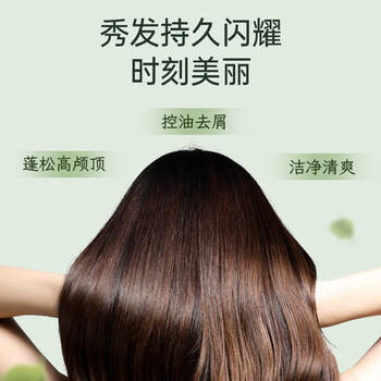 舒蕾茶树控油洗发水530g去屑蓬松 清爽舒爽 男女士洗头膏 国货洗发露 商品图0