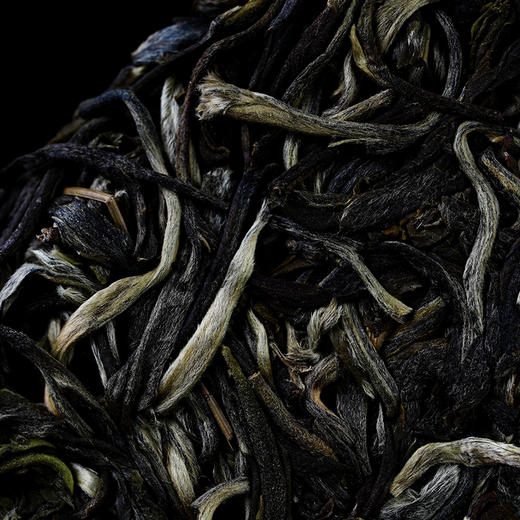 2025年头春【曼松单株】【月底高货放漏冲刺】曼松王子山古树单株“茶界象牙塔的顶端”每一片叶子都来自24号茶农：李学平，357克/饼 茶友必囤！！ 商品图6