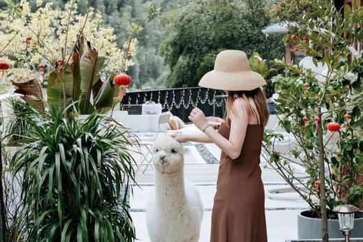 锦里夕拾丨2天1晚套餐 · 温州楠溪江 商品图7