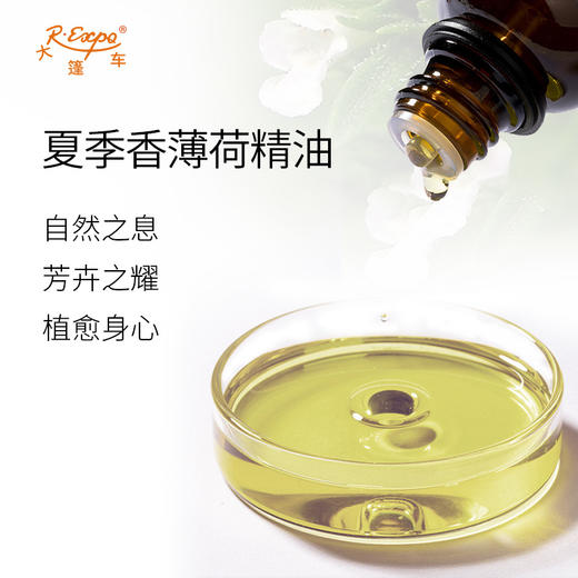 夏季香薄荷精油 奥地利精油原料批发芳疗香氛调香香薰大篷车精油 商品图1