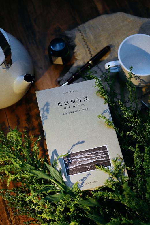 《梭罗文集：瓦尔登湖+四季之歌+夜色和月光》（全3册） 商品图5