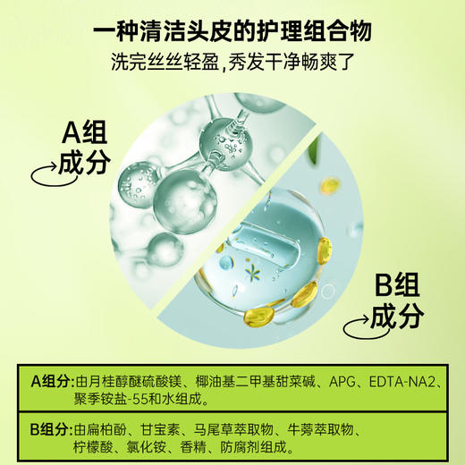 澳雪小黄姜洗发水500ml*2（防脱固发+控油去屑） 商品图6