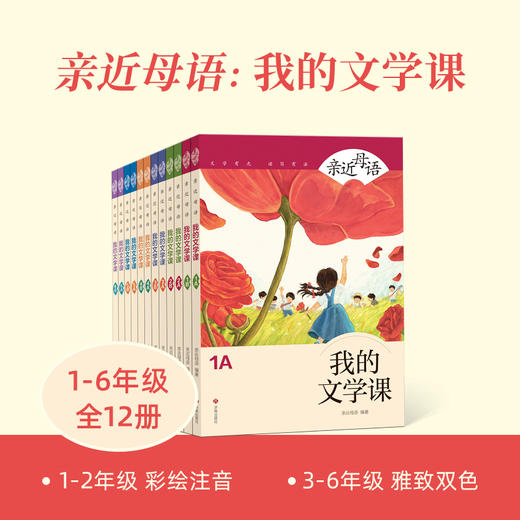 《亲近母语人：我的文学课》[联系客服领取独家阅读单] 商品图0